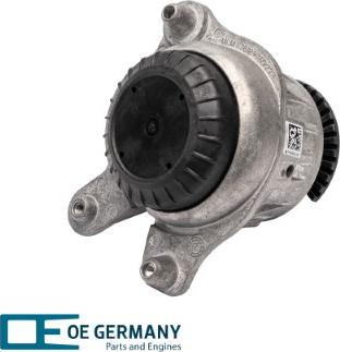 OE Germany 801132 - Nosač motora www.molydon.hr