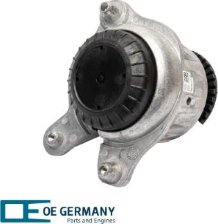 OE Germany 801244 - Nosač motora www.molydon.hr