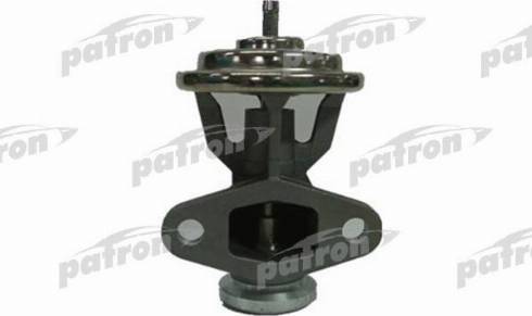 Patron PEGR069 - EGR ventil www.molydon.hr