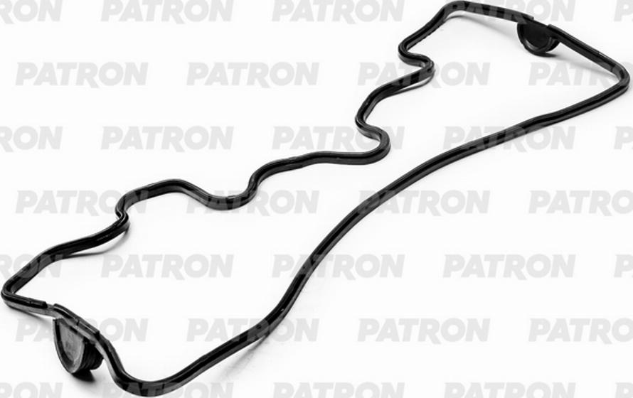 Patron PG6-0068 - Brtva, poklopac glave cilindra www.molydon.hr