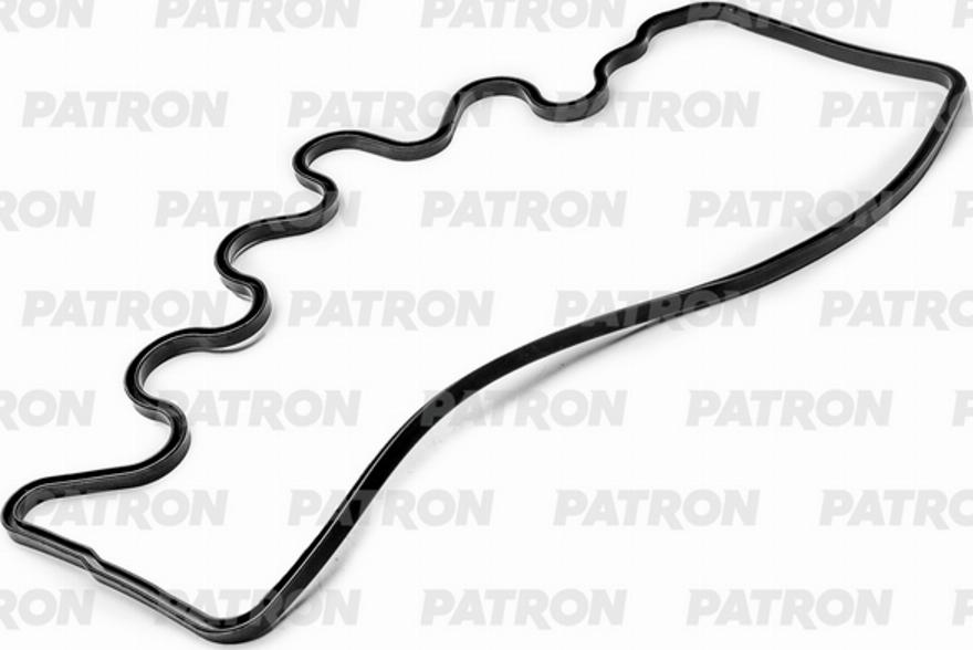 Patron PG6-0063 - Brtva, poklopac glave cilindra www.molydon.hr