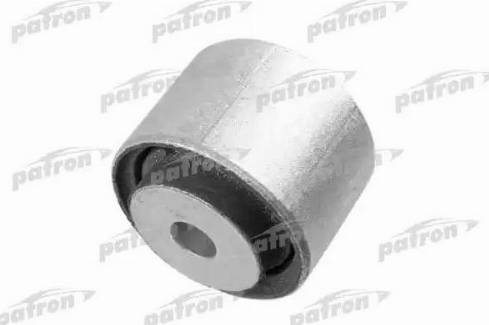 Patron PSE10555 - Ležište | Držač | Uležištenje, lajtung ( cijev ) prenosnik www.molydon.hr