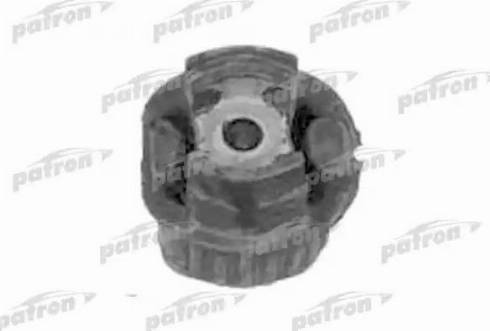 Patron PSE1180 - Ležište | Držač | Uležištenje, tijelo osovine www.molydon.hr