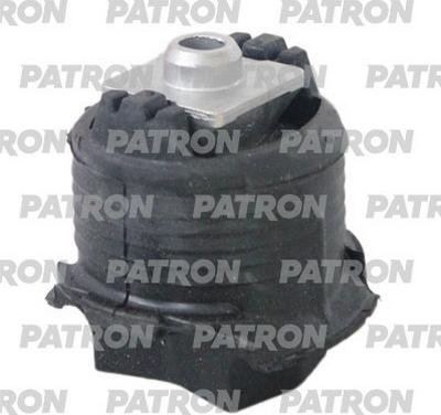 Patron PSE13574 - Ležište | Držač | Uležištenje, tijelo osovine www.molydon.hr