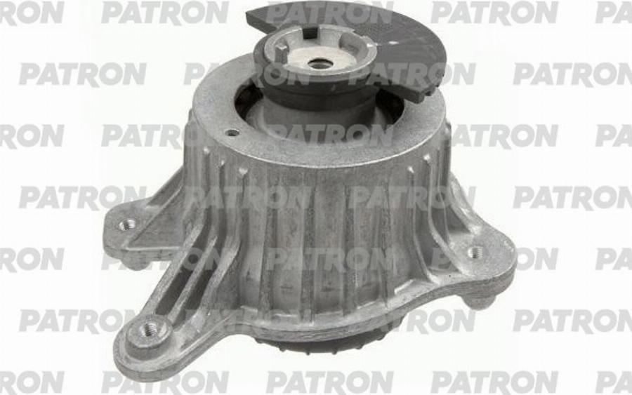 Patron PSE30915 - Nosač motora www.molydon.hr