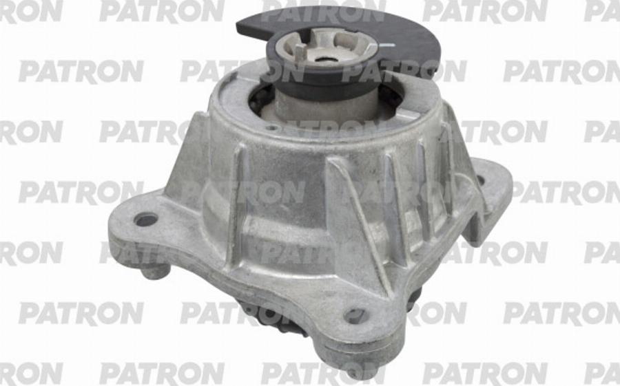 Patron PSE30922 - Nosač motora www.molydon.hr