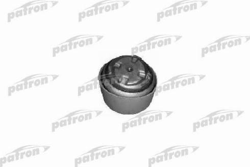 Patron PSE3306 - Nosač motora www.molydon.hr