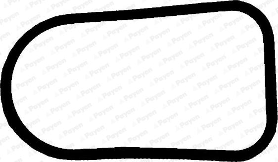 Payen JD5379 - Brtva, usisna grana www.molydon.hr