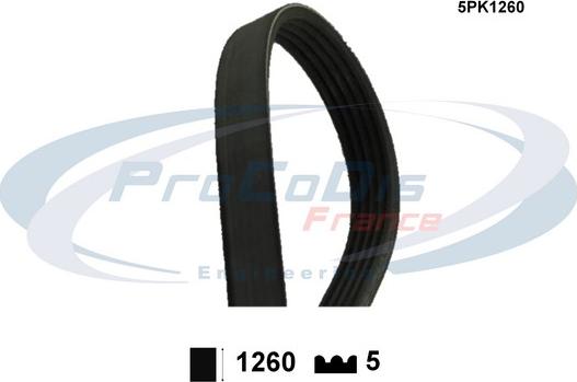 Procodis France 5PK1260 - Klinasti rebrasti remen  www.molydon.hr