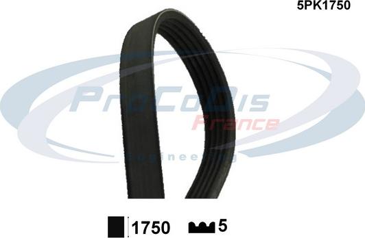 Procodis France 5PK1750 - Klinasti rebrasti remen  www.molydon.hr
