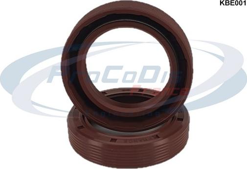 Procodis France KBE001 - Komplet Brtvenih prstenova (semeringa), motor www.molydon.hr
