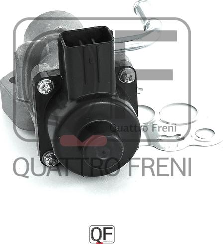 Quattro Freni QF28A00019 - EGR ventil www.molydon.hr