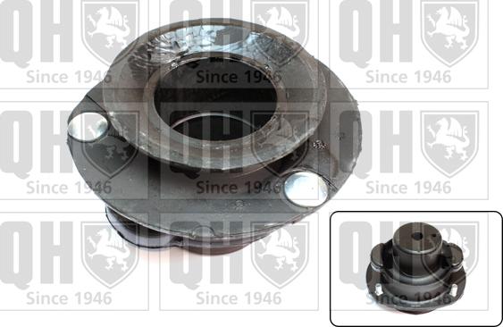 Quinton Hazell EMR6070 - Nosač amortizera www.molydon.hr