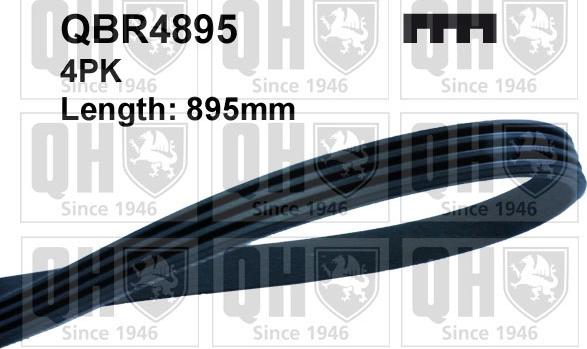 Quinton Hazell QBR4895 - Klinasti rebrasti remen  www.molydon.hr