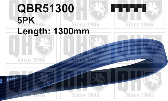 Quinton Hazell QBR51300 - Klinasti rebrasti remen  www.molydon.hr