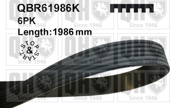 Quinton Hazell QBR61986K - Klinasti rebrasti remen  www.molydon.hr