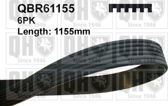 Quinton Hazell QBR61155 - Klinasti rebrasti remen  www.molydon.hr
