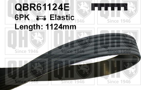 Quinton Hazell QBR61124E - Klinasti rebrasti remen  www.molydon.hr