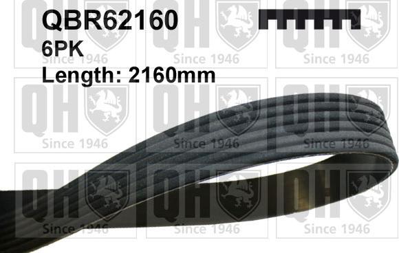 Quinton Hazell QBR62160 - Klinasti rebrasti remen  www.molydon.hr