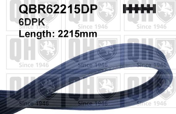 Quinton Hazell QBR62215DP - Klinasti rebrasti remen  www.molydon.hr