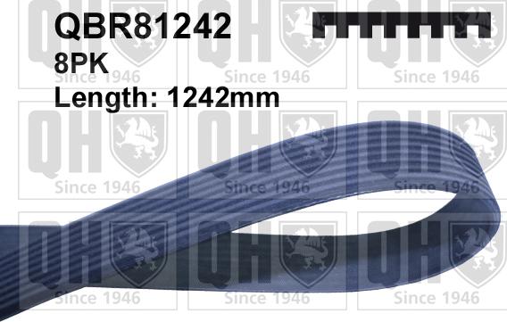 Quinton Hazell QBR81242 - Klinasti rebrasti remen  www.molydon.hr