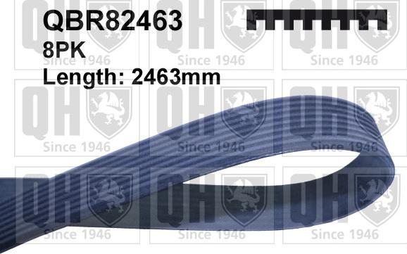 Quinton Hazell QBR82463 - Klinasti rebrasti remen  www.molydon.hr