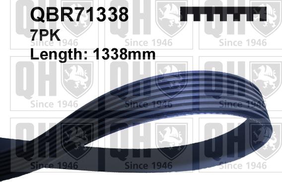 Quinton Hazell QBR71338 - Klinasti rebrasti remen  www.molydon.hr