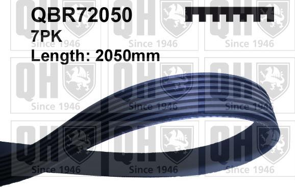 Quinton Hazell QBR72050 - Klinasti rebrasti remen  www.molydon.hr