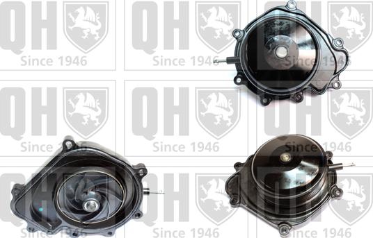 Quinton Hazell QCP3799 - Vodena pumpa www.molydon.hr