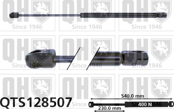 Quinton Hazell QTS128507 - Plinski amortizer, prtljaznik/utovarni prostor www.molydon.hr