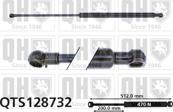 Quinton Hazell QTS128732 - Plinski amortizer, prtljaznik/utovarni prostor www.molydon.hr