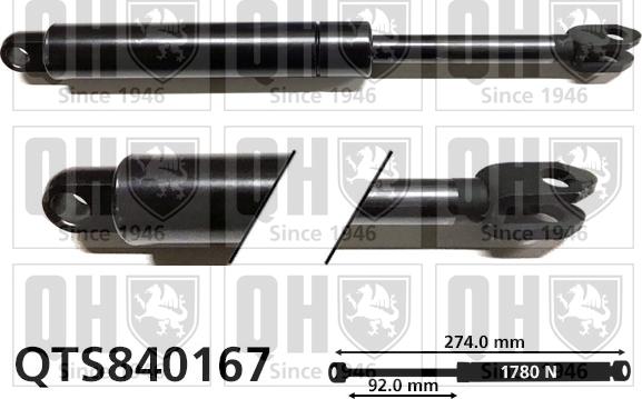Quinton Hazell QTS840167 - Plinski amortizer, prtljaznik/utovarni prostor www.molydon.hr