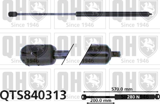 Quinton Hazell QTS840313 - Plinski amortizer, hauba motora www.molydon.hr
