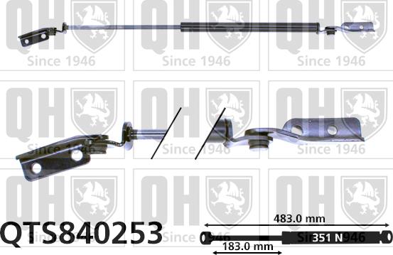 Quinton Hazell QTS840253 - Plinski amortizer, prtljaznik/utovarni prostor www.molydon.hr