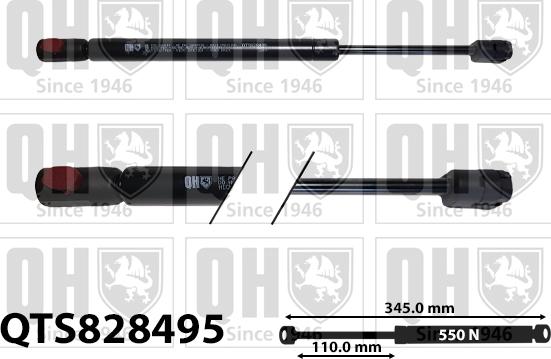 Quinton Hazell QTS828495 - Plinski amortizer, hauba motora www.molydon.hr
