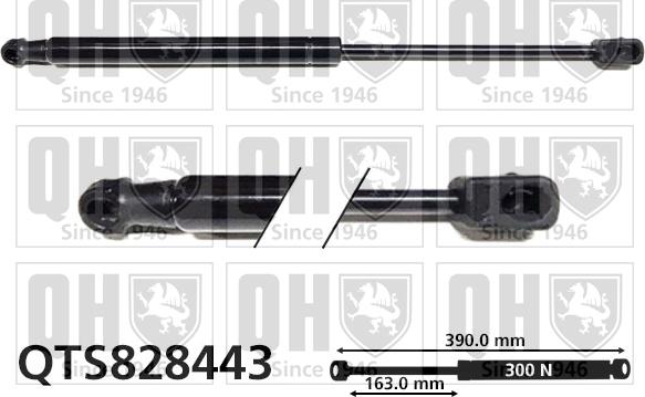 Quinton Hazell QTS828443 - Plinski amortizer, hauba motora www.molydon.hr