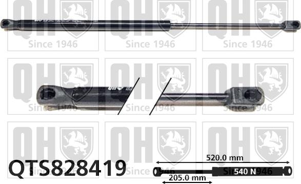 Quinton Hazell QTS828419 - Plinski amortizer, prtljaznik/utovarni prostor www.molydon.hr
