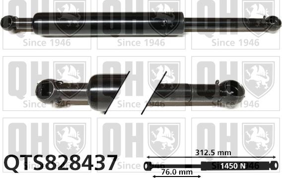Quinton Hazell QTS828437 - Plinski amortizer, prtljaznik/utovarni prostor www.molydon.hr