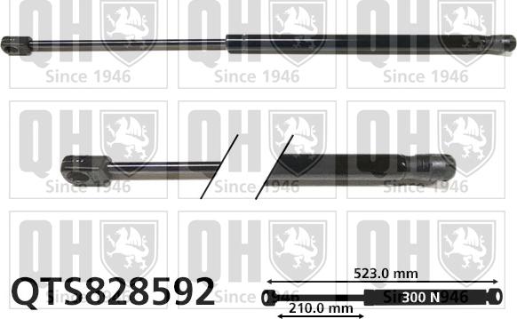Quinton Hazell QTS828592 - Plinski amortizer, prtljaznik/utovarni prostor www.molydon.hr