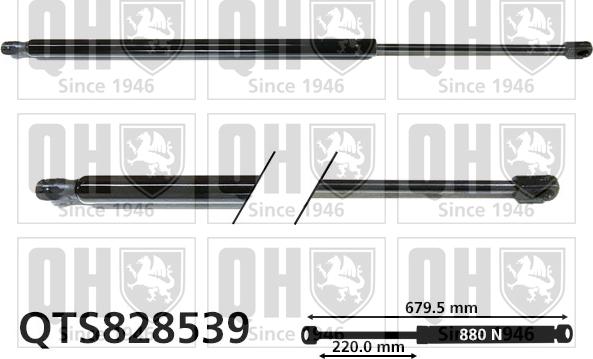 Quinton Hazell QTS828539 - Plinski amortizer, prtljaznik/utovarni prostor www.molydon.hr