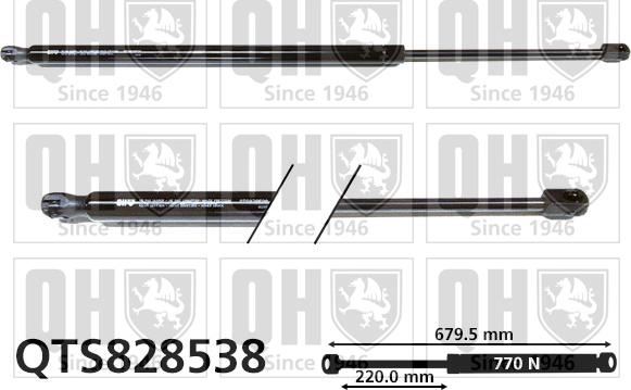 Quinton Hazell QTS828538 - Plinski amortizer, prtljaznik/utovarni prostor www.molydon.hr
