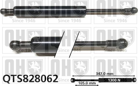 Quinton Hazell QTS828062 - Plinski amortizer, prtljaznik/utovarni prostor www.molydon.hr