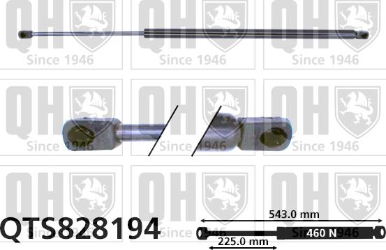 Quinton Hazell QTS828194 - Plinski amortizer, prtljaznik/utovarni prostor www.molydon.hr