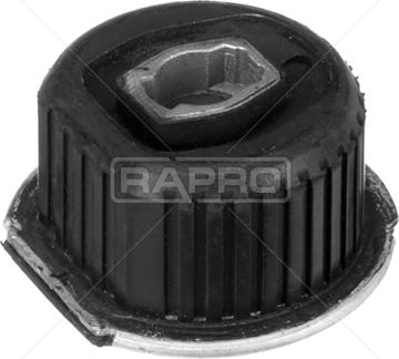 Rapro R55437 - Ležište | Držač | Uležištenje, tijelo osovine www.molydon.hr
