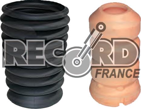 Record France 925901 - Komplet za zaštitu od prasine, amortizer www.molydon.hr