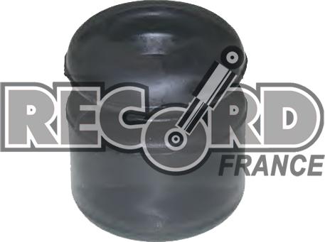 Record France 923715 - Komplet za zaštitu od prasine, amortizer www.molydon.hr