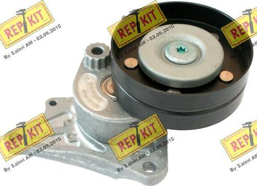 REPKIT RKT3689 - Natezač remena, klinasti rebrasti remen  www.molydon.hr