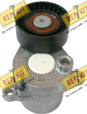 REPKIT RKT3676 - Natezač remena, klinasti rebrasti remen  www.molydon.hr