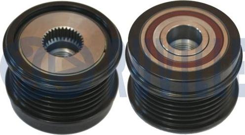 Ruville 542698 - Remenica, alternator www.molydon.hr