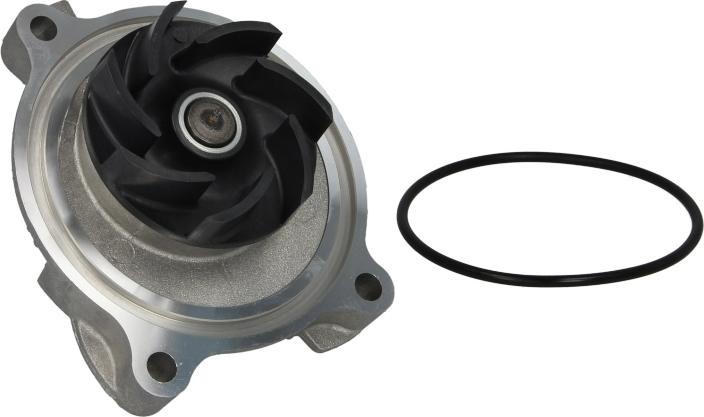 Saleri SIL PA1002A - Vodena pumpa www.molydon.hr